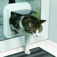 Install cat Flaps in West London